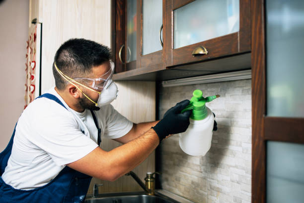 Best Exterminator Services  in Canutillo, TX