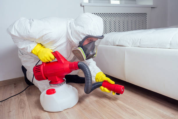 Wasp Removal Services in Canutillo, TX