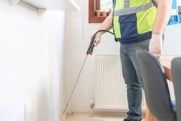 Best Pest Inspection Near Me  in Canutillo, TX