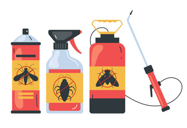 Best Pest Prevention Services  in Canutillo, TX