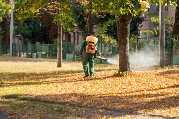 Best Pest Control Near Me in Canutillo, TX