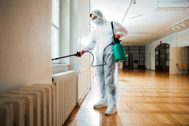 Best Affordable Pest Control Services  in Canutillo, TX